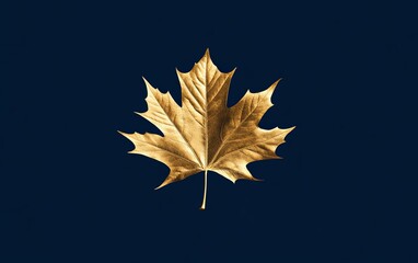 Wall Mural - A golden maple leaf on a dark blue background, highlighting nature's beauty and elegance.