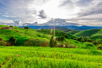 Natural background on the mountain with green rice terraces. Pa Bong Piang is one of the beautiful viewpoints in Chiang Mai, Thailand, overlooking the surrounding mountains. It is always popular.