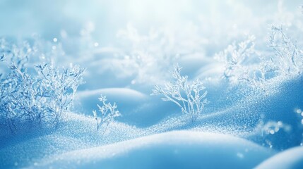 Aufkleber - A serene winter landscape featuring delicate snowflakes and a blanket of soft, glistening snow under gentle light.