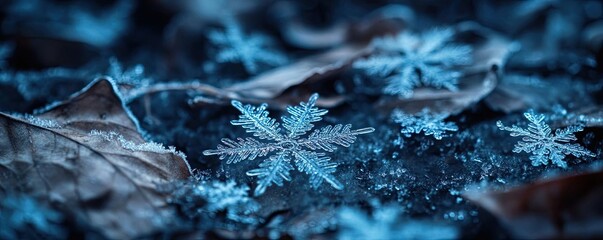 Poster - A close-up view of delicate frost-covered leaves and sparkling snowflakes, capturing the beauty of winter's gentle touch.