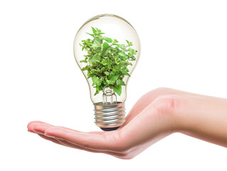 Canvas Print - A hand holds light bulb filled with green plants, symbolizing eco friendliness and sustainability. This image represents fusion of nature and technology, promoting environmental awareness. 