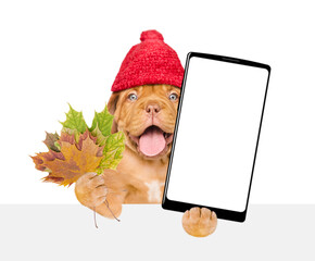 Poster - Happy puppy wearing warm hat holds dry leaves and big smartphone with white blank screen in it paw above blank white banner