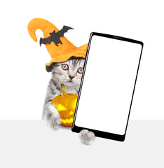 Poster - Cute kitten wearing hat for halloween holds pumpkin and shows smartphone with white blank screen in it paw above white blank board. Empty space for text. Isolated on white background