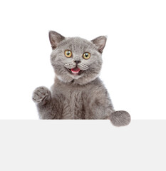 Poster - Surprised cat looks above blank white banner. isolated on white background