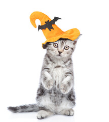 Canvas Print - Cute tabby kitten wearing hat for halloween holds jack-o'-lanterns. isolated on white background