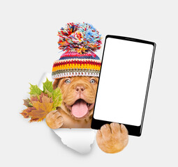 Poster - Smiling puppy wearing warm hat holds dry leaves and big smartphone with white blank screen in it paw through the hole in white paper