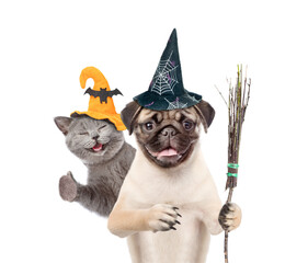 Poster - Happy cat and Pug puppy wearing  hats for halloween looks at camera. Dog holds the broomstick. Kitten shows thumbs up gesture. isolated on white background
