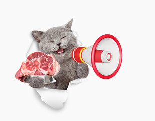 Aufkleber - Happy cat looking through the hole in white paper meowing into the megaphone and showing bowl of raw meat