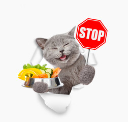Aufkleber - Happy cat holds bowl of vegetables  and looks through the hole in white paper and shows stop sign