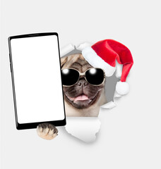 Poster - Funny Pug puppy wearing red santa hat holds big smartphone with empty screen in it paw, showing close to camera through torn white paper hole. Empty free space for mock up