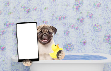Leinwandbilder - Funny Pug puppy takes the bath with rubber duck and shows big smartphone with white blank screen in it paw. Empty space for text