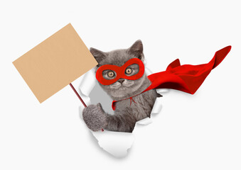 Poster - Cute kitten wearing superhero costume looking through the hole in white paper and showing blank placard