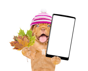 Poster - Happy puppy wearing warm hat holds dry leaves and big smartphone with white blank screen in it paw. Isolated on white background. Empty space for text