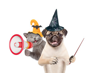 Aufkleber - Happy cat and Pug puppy wearing  hats for halloween looks at camera. Dog points away on empty space. Kitten meowing into the megaphone. isolated on white background