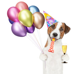 Poster - Happy jack russell terrier puppy wearing party cap, blows in party horn, holds balloons and glass of champagne. isolated on white background