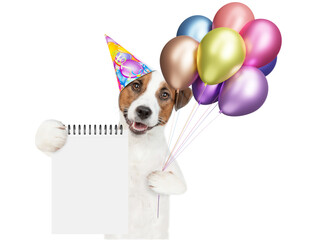 Poster - Happy jack russell terrier puppy wearing party cap holds balloons and ahows blank placard. Empty space for text. isolated on white background