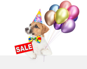 Poster - Happy jack russell terrier puppy wearing party cap holds balloons,  shows signboard with labeled 