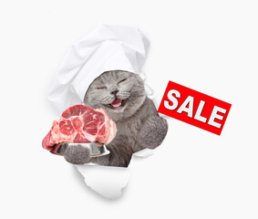 Aufkleber - Happy kitten wearing chef's hat holding bowl of raw meat and looking through the hole in yellow paper and holding signboard with labeled 