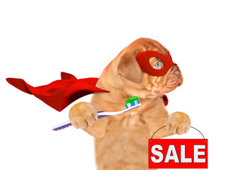 Poster - Happy Mastiff puppy wearing superhero costume showing signboard with labeled 