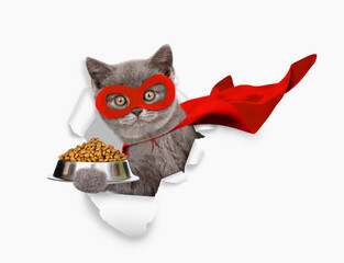 Poster - Cute kitten wearing superhero costume holds bowl of dry pets food through the hole in white paper