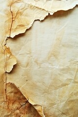 Poster - Textured Paper Background with Torn Edges and Creases