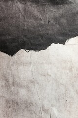 Poster - Textured Paper Background with Raw Edges and Spaces