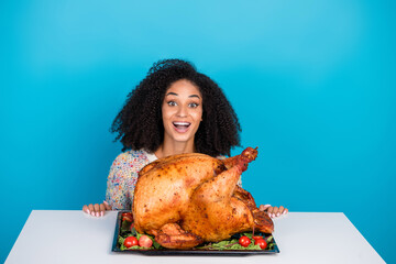 Sticker - Photo portrait of pretty young girl excited reaction celebrate thanksgiving dinner turkey isolated on blue color background