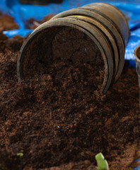 A couple of pots stacked ,half filled with coco peat and kept on a heap of coco peat