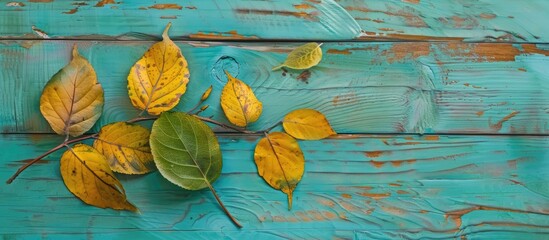 Wall Mural - Autumn leaves on the wooden aqua boards Dry yellow and green leaves with a design. Copy space image. Place for adding text and design