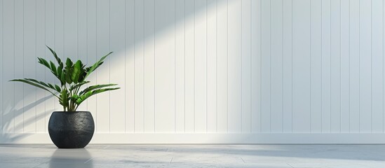 Wall Mural - Houseplant in a pot against a white wall background with copy space