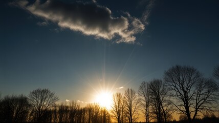 Poster - A stunning sunset with a bright sun shining through the trees.