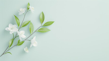 Wall Mural - Delicate white flowers with green leaves arranged on a soft pastel background