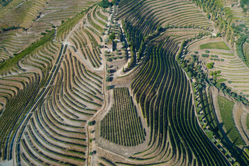 Duero valley near to Pinhao, Portugal