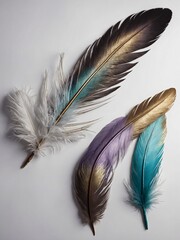 Poster - Colorful feathers in various shades of brown, white, and teal against light background