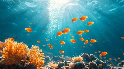 Aufkleber - Stunning aerial view of a vibrant coral reef teeming with schools of brightly colored tropical fish swimming gracefully through the underwater seascape
