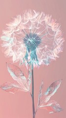 Canvas Print - Dandelion flower plant inflorescence.