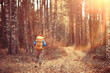 © kichigin19 - autumn hike with a backpack, sun rays, autumn landscape, a man in the forest glare of light sunset