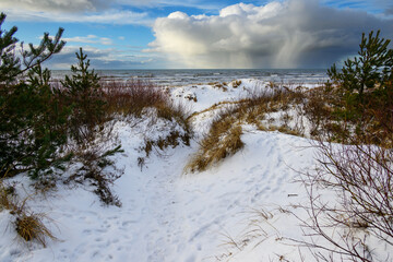 Canvas Print - Snow cloud above icy Baltic sea.