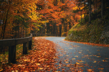 Wall Mural - road with fallen leaves in beautiful forest in golden autumn