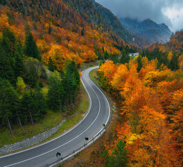 Wall Mural - aerial view of wet curvy road and orange forest in golden autumn