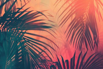 Aufkleber - A palm tree with sunlight shining through its leaves, a serene and peaceful scene