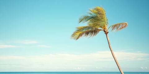 Wall Mural - A serene tropical scene featuring a swaying palm tree against a clear blue sky and calm ocean waves in the background.