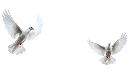 Wall Mural - Graceful white doves flying png on transparent background