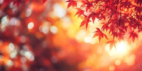 Sticker - Autumn background with red maple leaves autumn leaf bokeh.