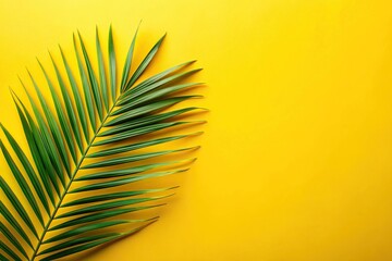 Palm leaf on yellow background with space for text