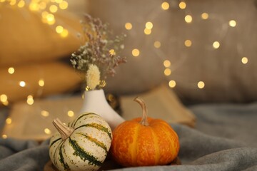 Sticker - Pumpkins on grey cloth against blurred lights, closeup. Autumn atmosphere