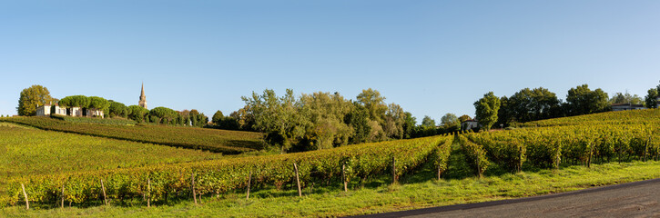 Wall Mural - Sunset landscape bordeaux wineyard, Langoiran, france, europe Nature. High quality photo