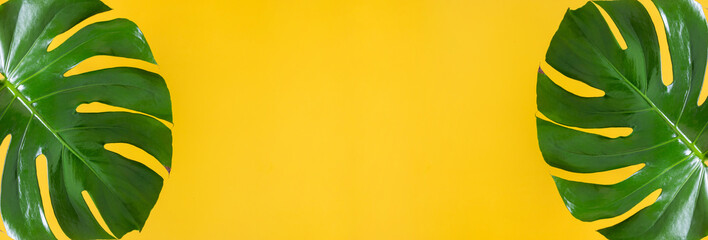Wall Mural - tropical palm leaves monstera isolated on yellow background. flat lay, top view, copy space