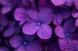 © StockUp - Close-up of purple flowers showcasing their intricate patterns and textures, enhanced by a soft background blur.