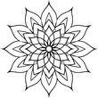 © design master - Intricate Mandala with Radiating Petals and Leaf Motifs - Detailed Linework Vector
